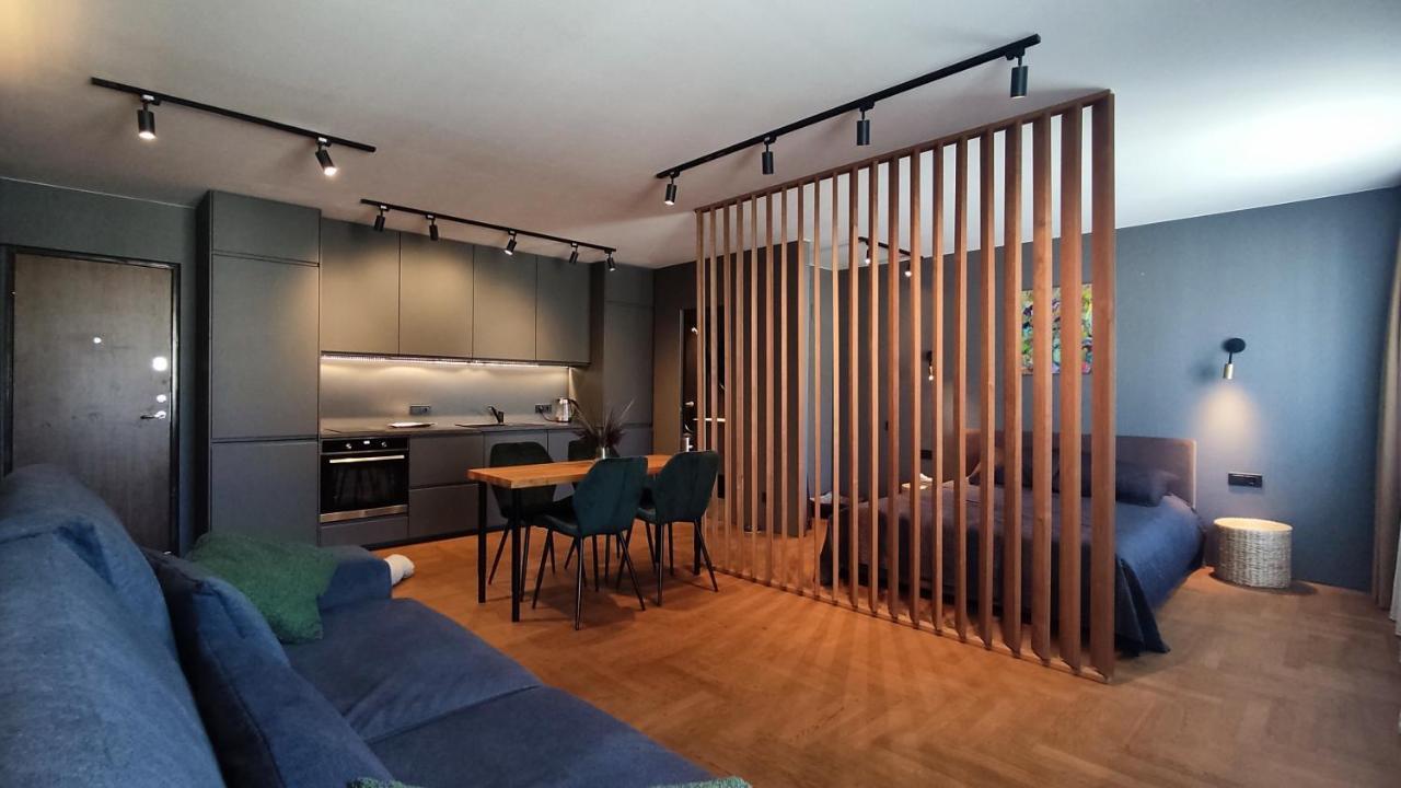 Dabintos Apartament ドルスキニンカイ エクステリア 写真