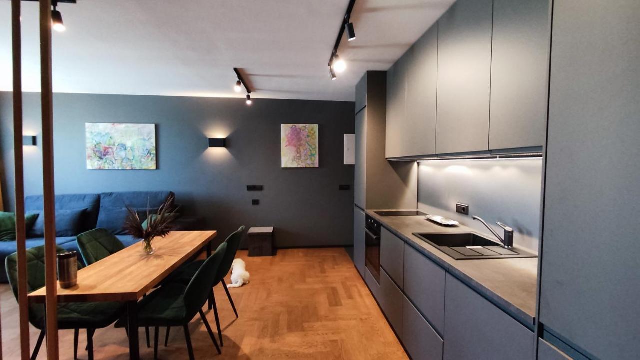 Dabintos Apartament ドルスキニンカイ エクステリア 写真
