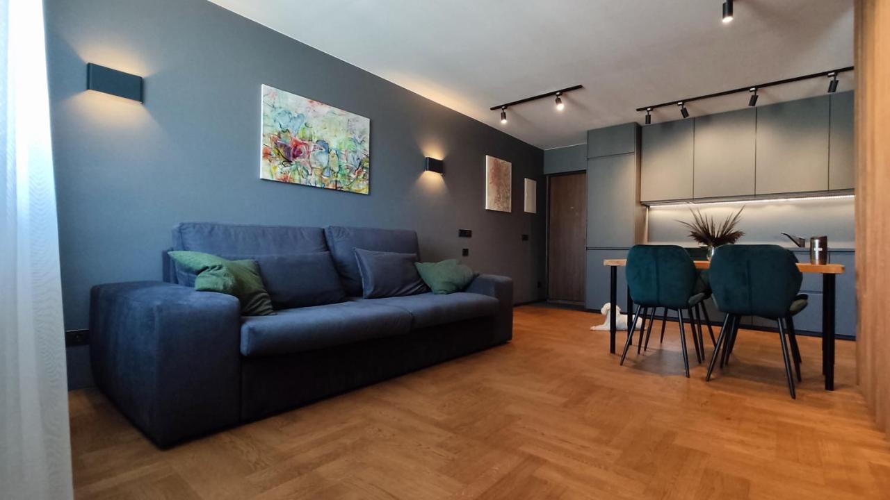 Dabintos Apartament ドルスキニンカイ エクステリア 写真