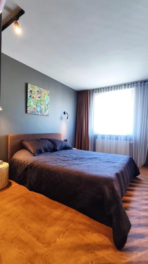 Dabintos Apartament ドルスキニンカイ エクステリア 写真