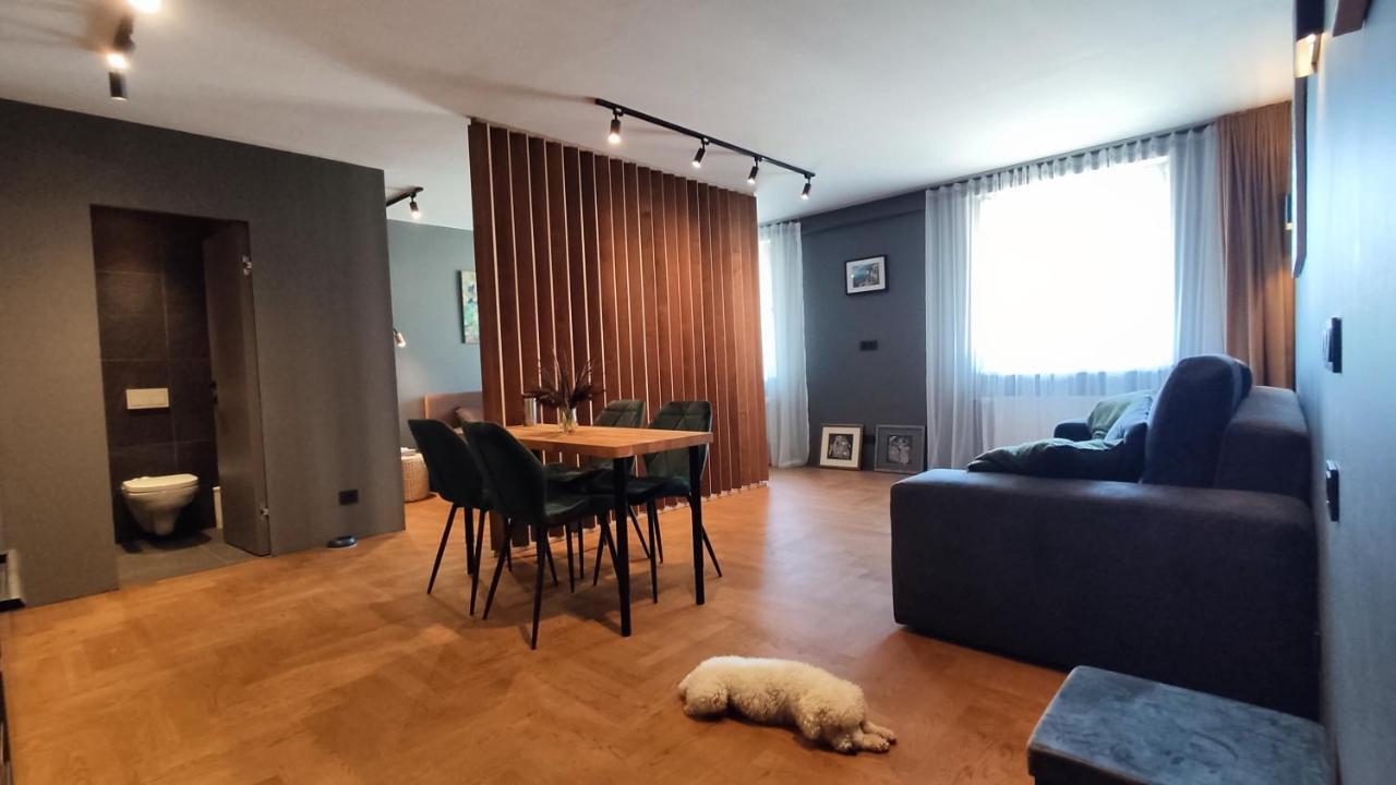 Dabintos Apartament ドルスキニンカイ エクステリア 写真