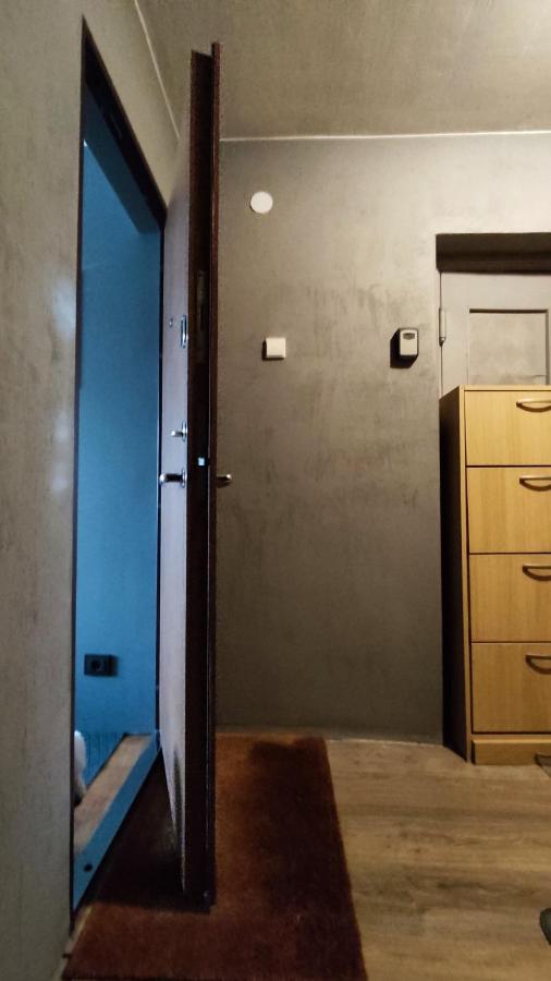 Dabintos Apartament ドルスキニンカイ エクステリア 写真