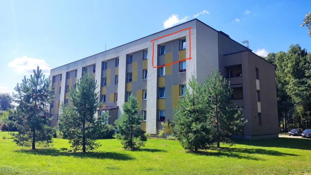 Dabintos Apartament ドルスキニンカイ エクステリア 写真